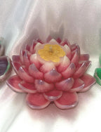 Lost In Lotus Bundle (1 set of 4) with 3D crown frosted petal tips