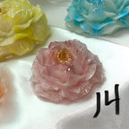 Succulent 3D Frosted Wax Tarts: Cacti, Rose & Peony, 14-Piece Set!