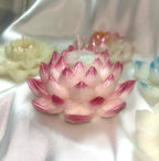 3D Lotus Candle, 5 piece set in Whimsical White Frosted Petal Tips