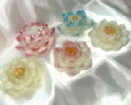 3D Lotus Candle, 5 piece set in Whimsical White Frosted Petal Tips