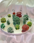 Succulent Wax Melts Bundle: Cacti, Rose & Peony, 14-Piece Set