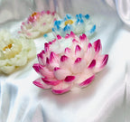 3D Lotus Candle, 5 piece set in Whimsical White Frosted Petal Tips
