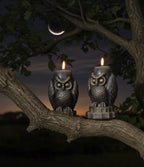 Mystical Owl Candles, 3D Frosted Moldings, 2pc set!