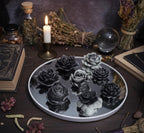Dark Floral 3D Frosted Wax Tarts, Eucalyptus Scented, 13 pc set!