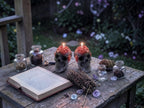 Skull N Roses Candles, Rustic Black, 2pc set!