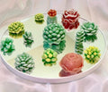 Succulent 3D Frosted Wax Tarts: Cacti, Rose & Peony, 14-Piece Set!