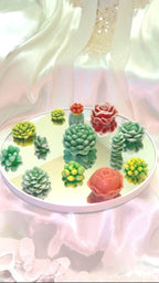 Succulent 3D Frosted Wax Tarts: Cacti, Rose & Peony, 14-Piece Set!