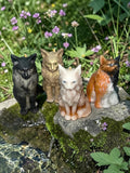 The Maine Coons Candle, 4pc set!