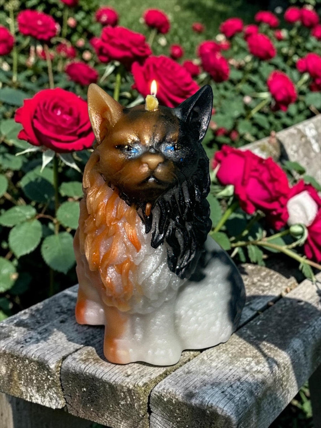 The Maine Coons Candle, 4pc set!
