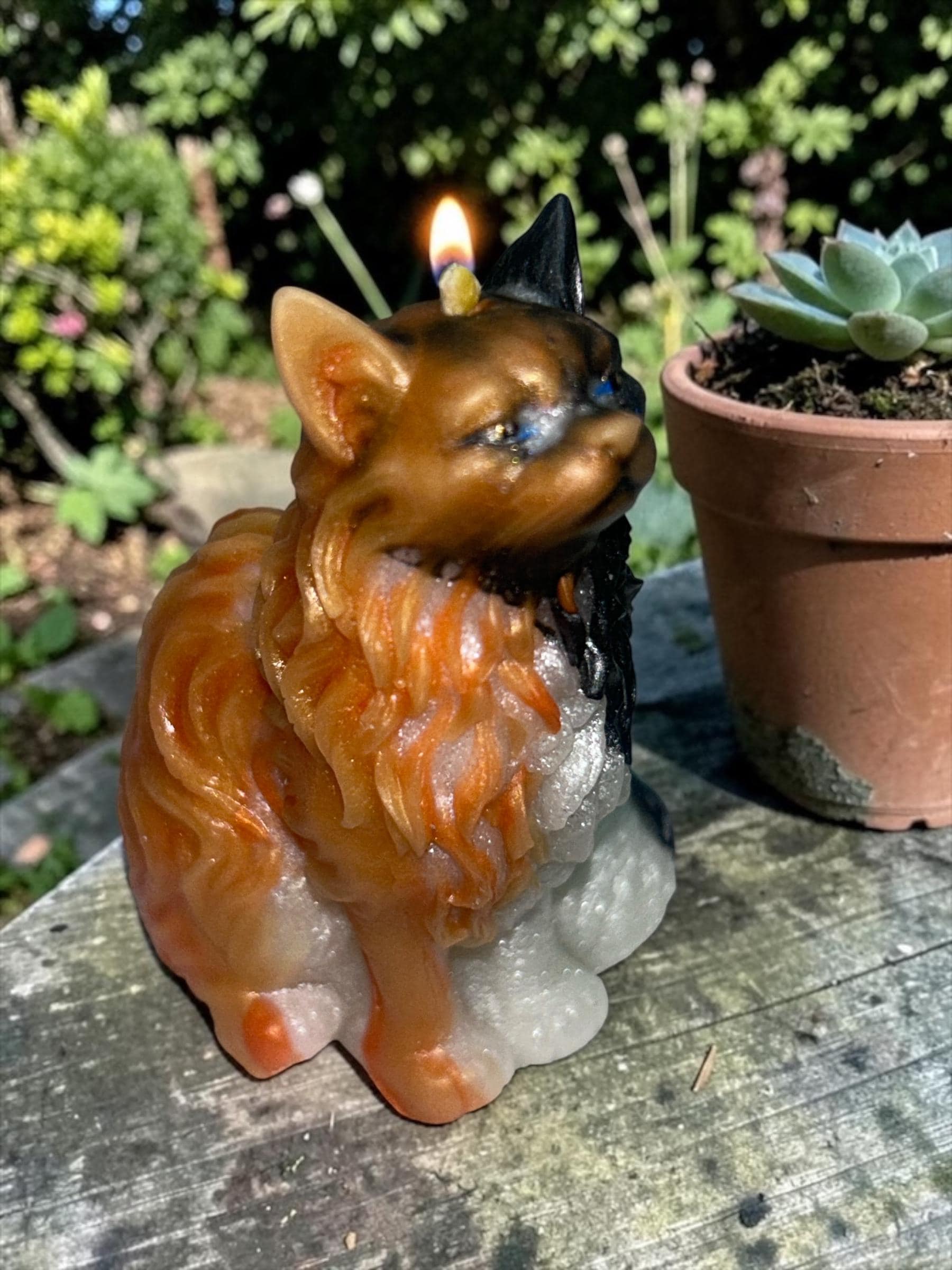 The Maine Coons Candle, 4pc set!