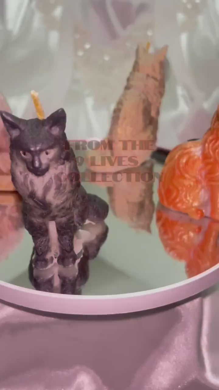 The Maine Coons Candle, 4pc set!