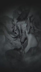 Dark Duality Peonies Candles in Rustic Black, 3D Frosted Petal Tips, 2pc set!