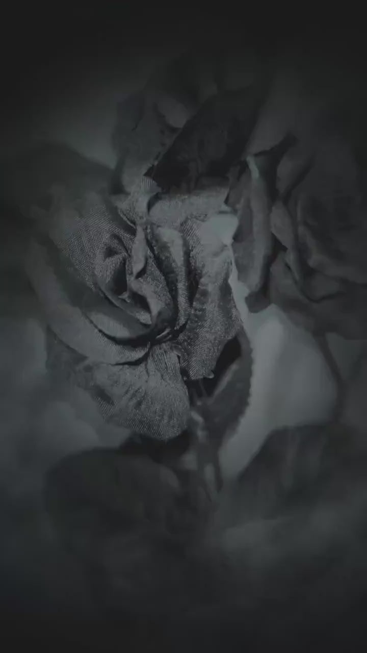 Peonies of Dark Duality Candles in Rustic Black, 3D Frosted Petal Tips, 2pc set!