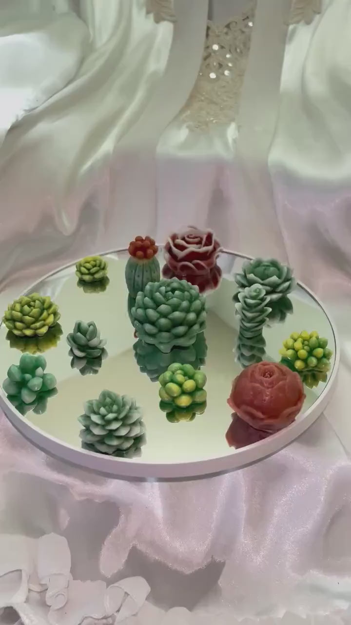 Succulent 3D Frosted Wax Tarts: Cacti, Rose & Peony, 14-Piece Set!